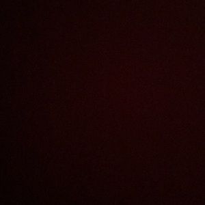 Meet your Posher, Bryce